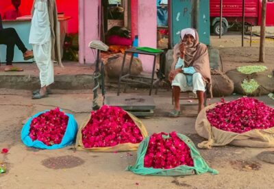 Jaipur: Half-Day Guided Sightseeing Tour with Flower Market - Hawa Mahal: quick photo time, better context
