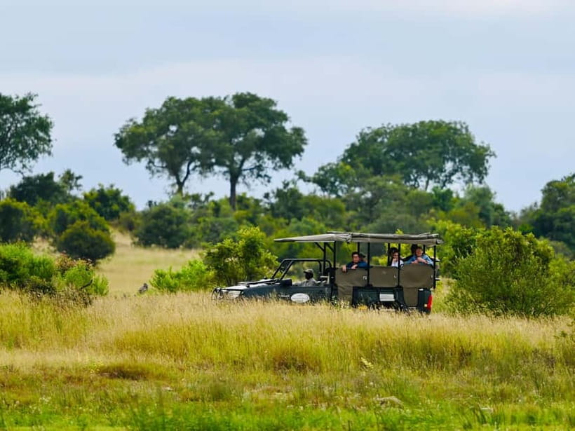 Jaipur: Jhalana Amagarh Leopard Reserve 4×4 Jeep Safari - What You Might See: Beyond Leopards in Real Wildlife Habitat