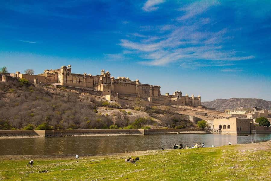 Jaipur: Private Full-Day Sightseeing Tour by Tuk-Tuk - Street time in the Pink City: markets, crafts, and meals you choose