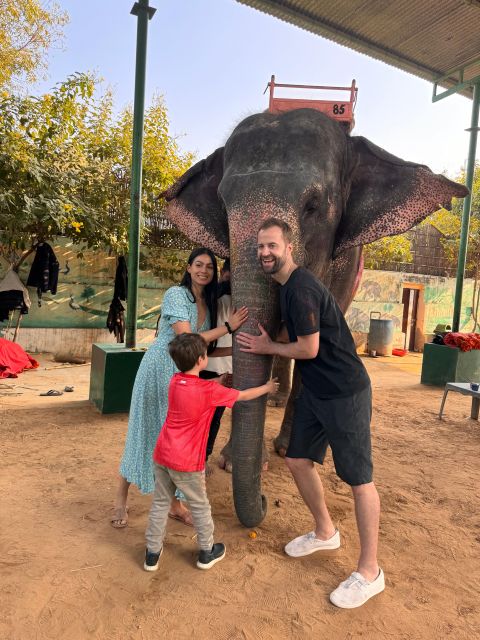 Jaipur: Private Full-Day Sightseeing Tour by Tuk-Tuk - Price and value: what you’re really paying for