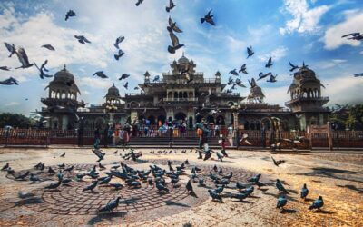 Jaipur: Private Tour for Instagram and Photography Lovers - Private A/C Pickup and the Practical Way the Day Runs