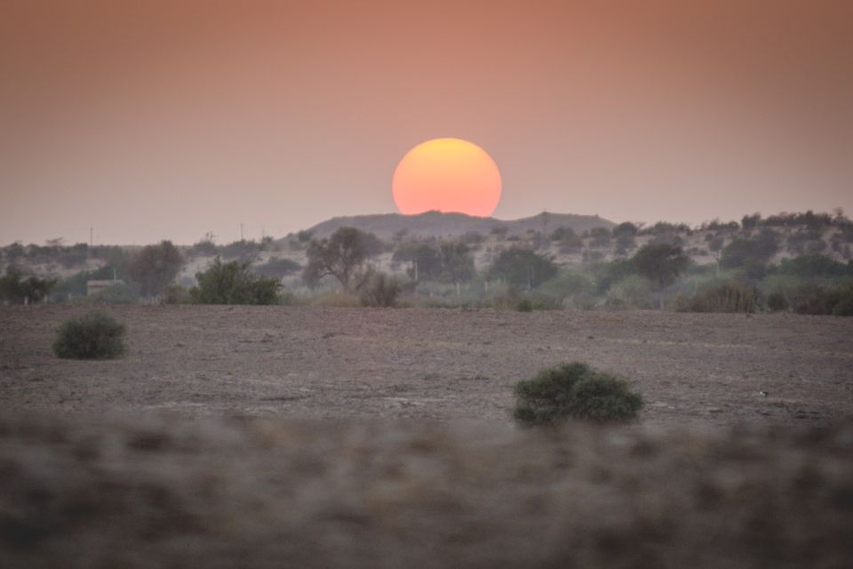Jaisalmer: 2-Day Thar Desert Experience - Value and Logistics: Is It Worth Doing This Way?