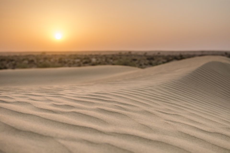 Jaisalmer: 2-Day Thar Desert Experience - Dinner by Fire and the Camp Routine Under Stars