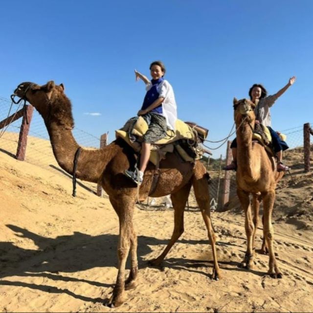 Jodhpur: Desert Camel and Jeep Safari with Traditional Food - Key highlights you’ll feel the most