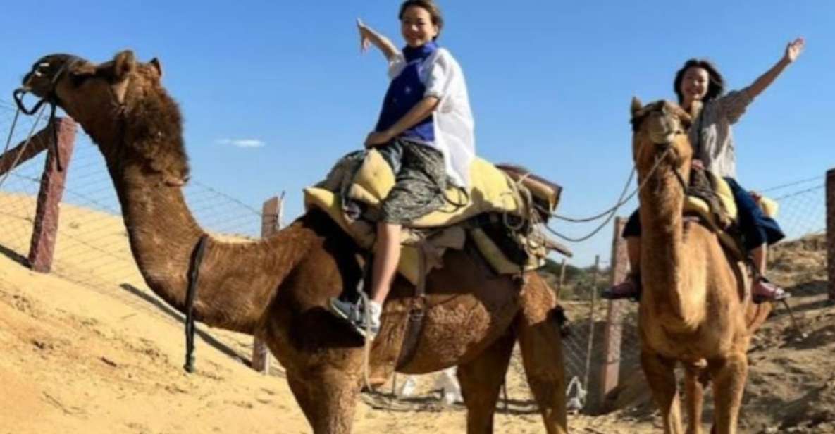 Jodhpur: Desert Camel and Jeep Safari with Traditional Food - Jeep Safari in the Dunes: Real Off-Road Fun (But Not for Everyone)