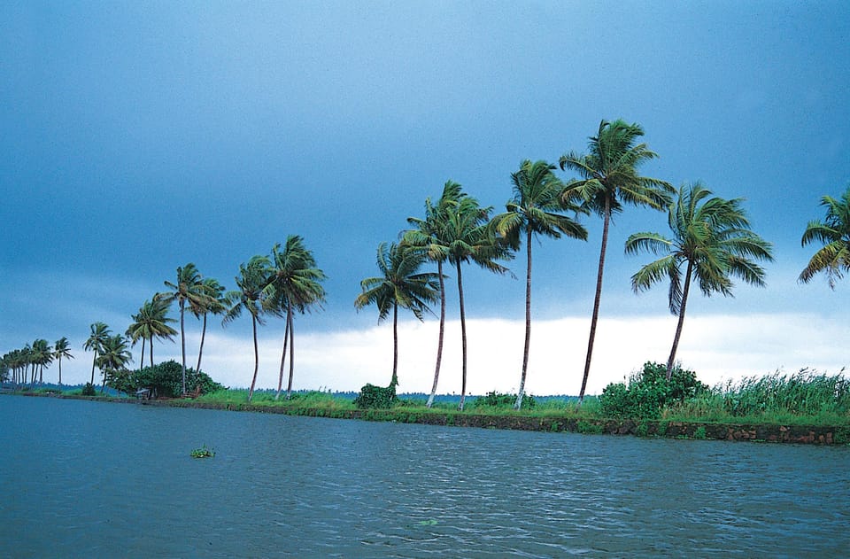 Kerala: Alappuzha River Cruise with Village Walk - What You Actually See Along the Water: Canals, Homes, and Everyday Work