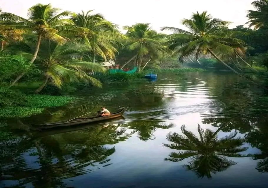 Kochi: Backwater Exploration in Village: Free Pickup & Drop - Boat Stops and Photo Moments: The Route’s Texture