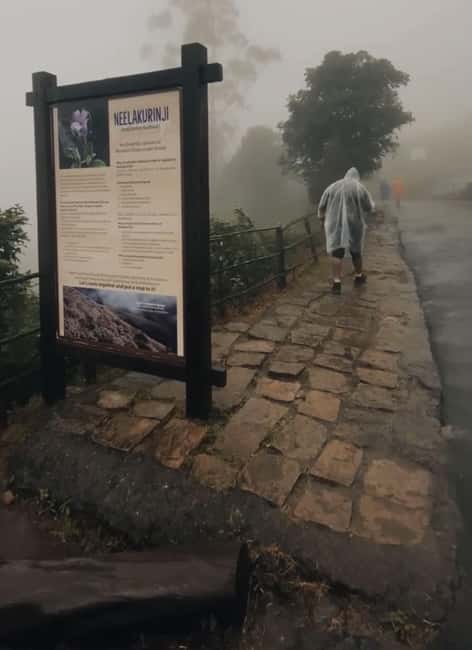 Kochi to Munnar: Eravikulam, lockhart & Waterfalls day tour - Kochi to Munnar in one push: how the day really feels