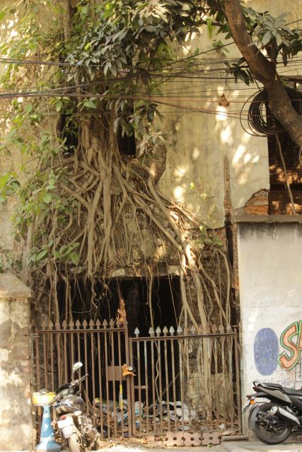 Kolkata: A Sea of Faces and A Thousand Places - Classic yellow cab to College Street and the ideas that built the city