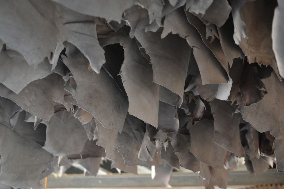 Mumbai: Dharavi Slum Tour with Dhobi Ghat (Open-Air Laundry) - Walking conditions and other trade-offs you should plan for