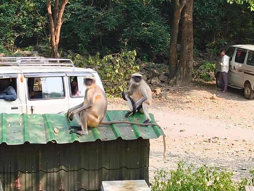 Mumbai Kanheri Caves & Golden Pagoda – A Buddhist Settlement - The mountain viewpoint: why the top matters